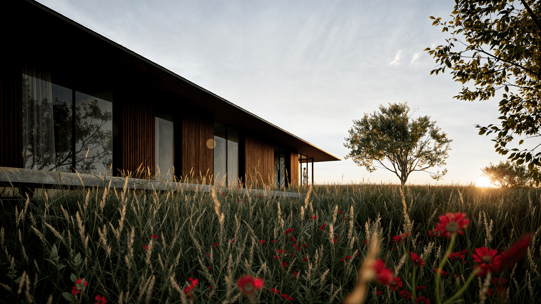 Courtyard House